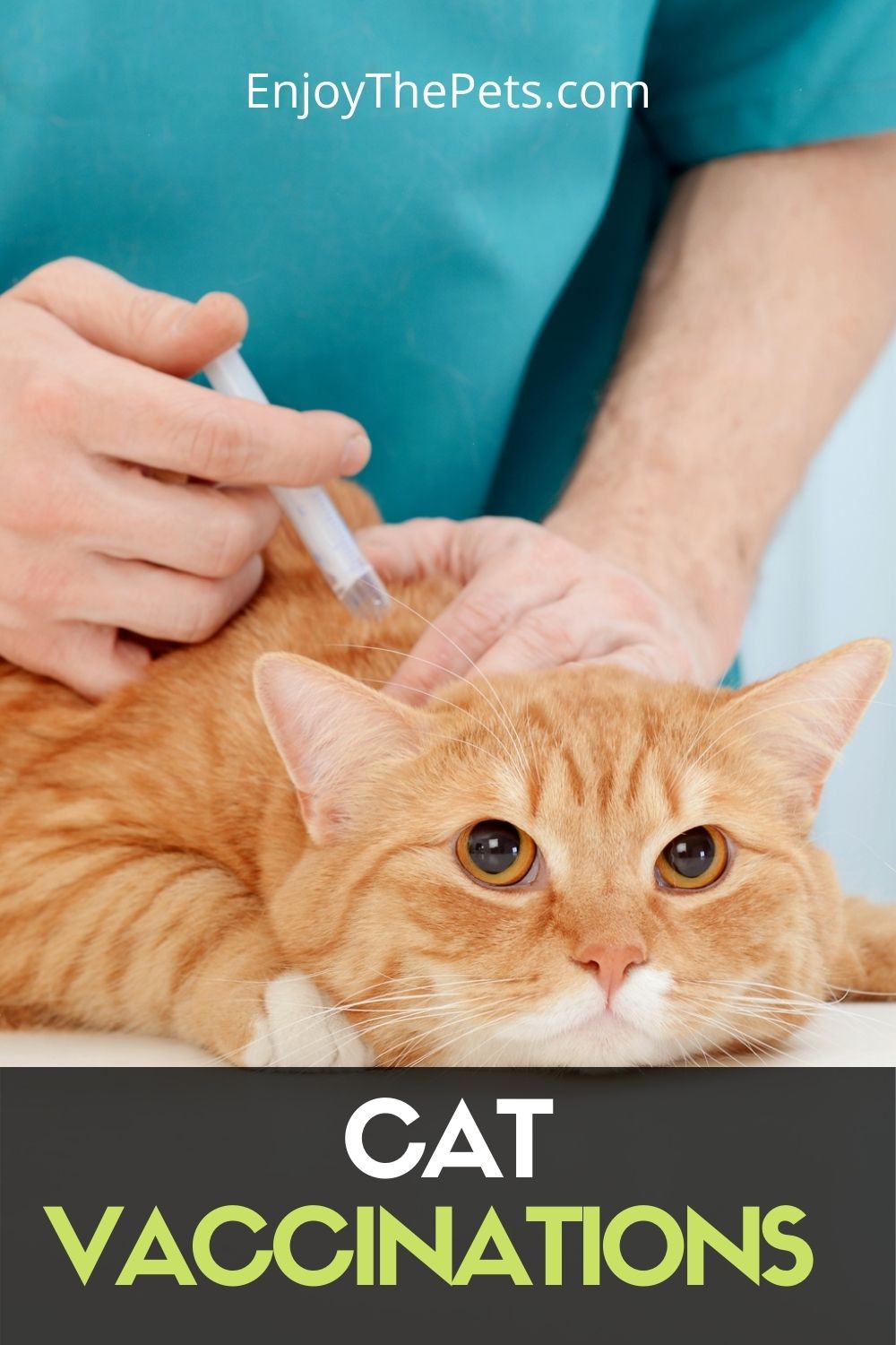 Cats Vaccinations