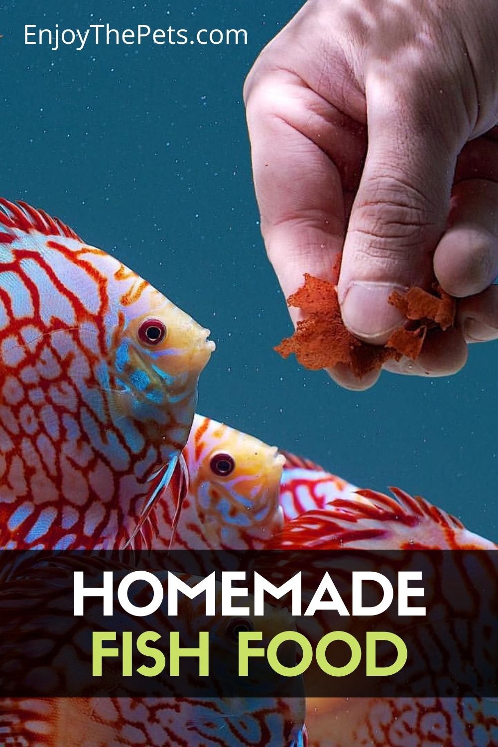 Homemade Fish Food