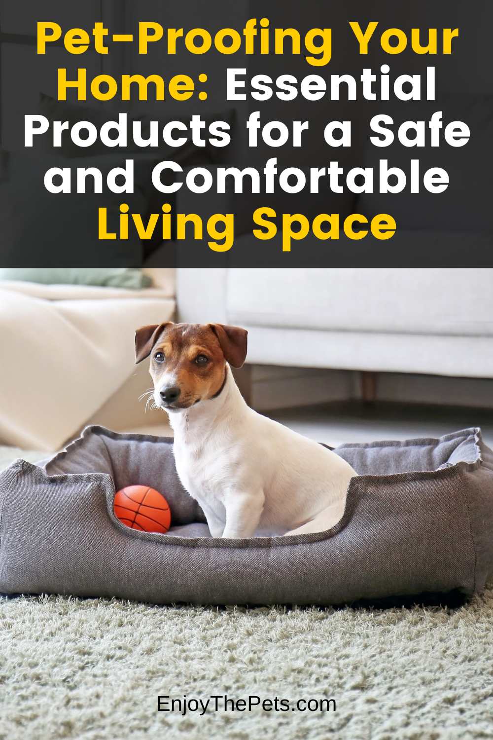 Pet-Proofing Your Home Essential Products for a Safe and Comfortable Living Space