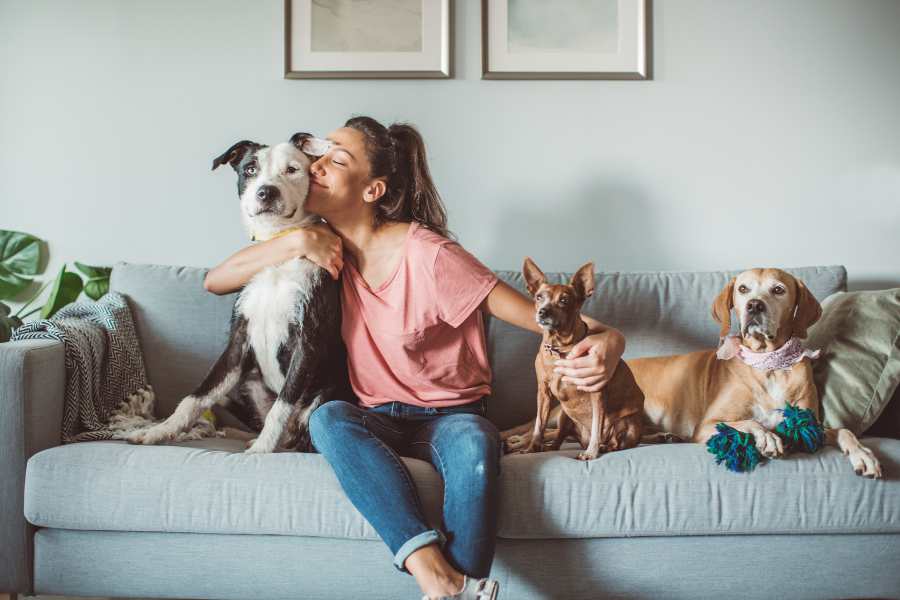 Pet-Proofing Your Home