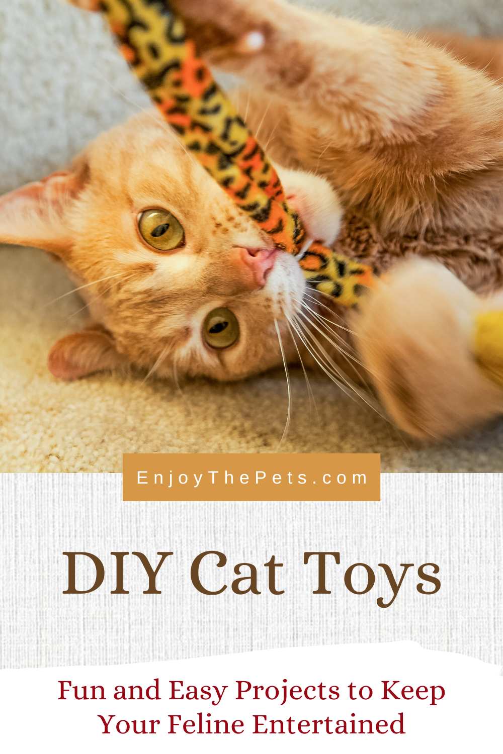 DIY Cat Toys Fun and Easy Projects to Keep Your Feline Entertained