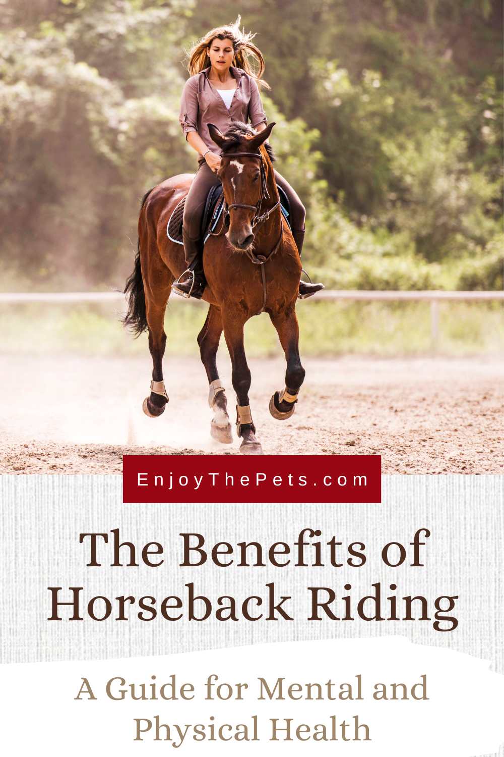 The Benefits of Horseback Riding A Guide for Mental and Physical Health