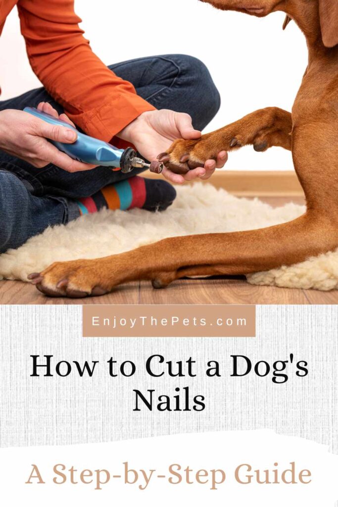 How to Cut a Dog's Nails: A Step-by-Step Guide - Enjoy The Pets